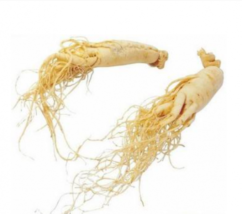 China is selling like hot cakes ginseng root soft capsule